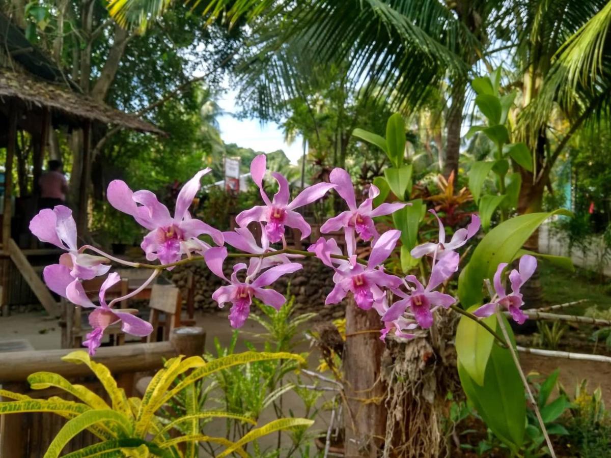 Tori'S Backpacker'S Paradise Hostel Siquijor Exterior photo