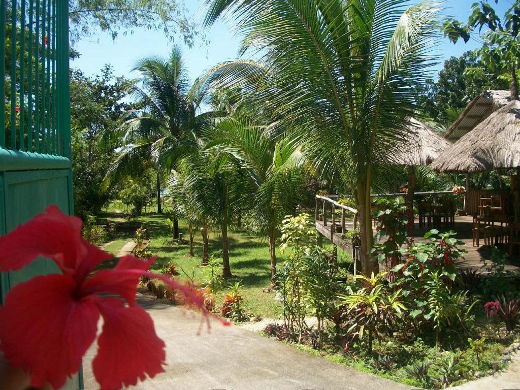 Tori'S Backpacker'S Paradise Hostel Siquijor Exterior photo