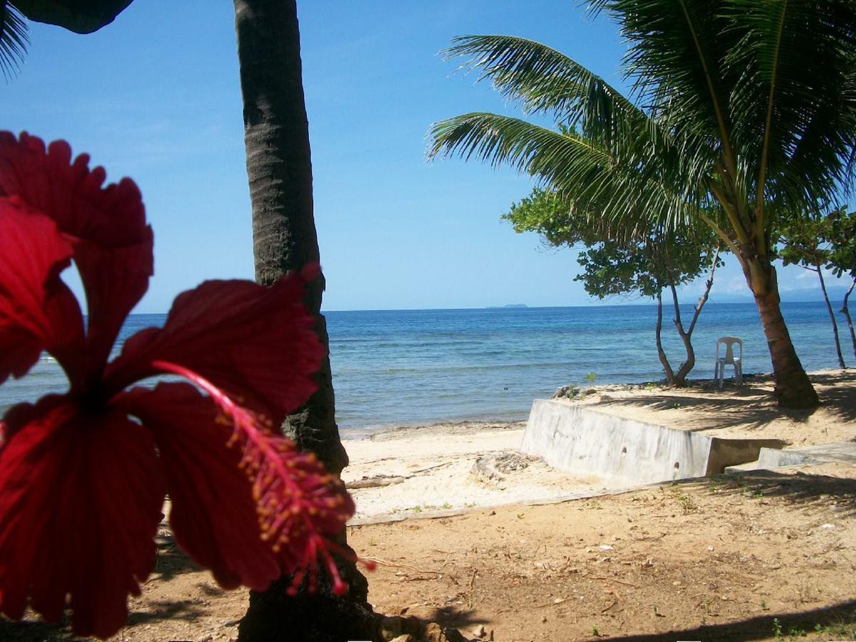 Tori'S Backpacker'S Paradise Hostel Siquijor Exterior photo