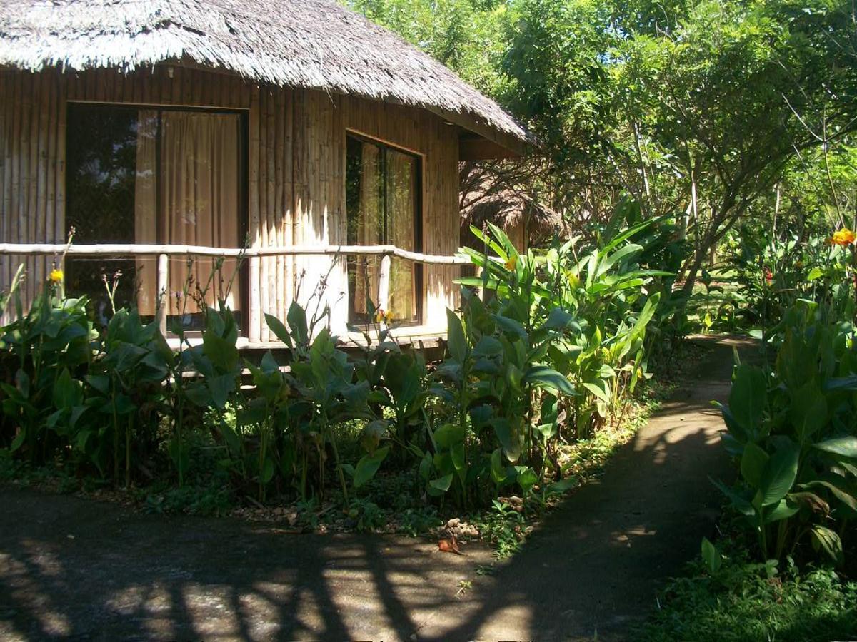 Tori'S Backpacker'S Paradise Hostel Siquijor Exterior photo